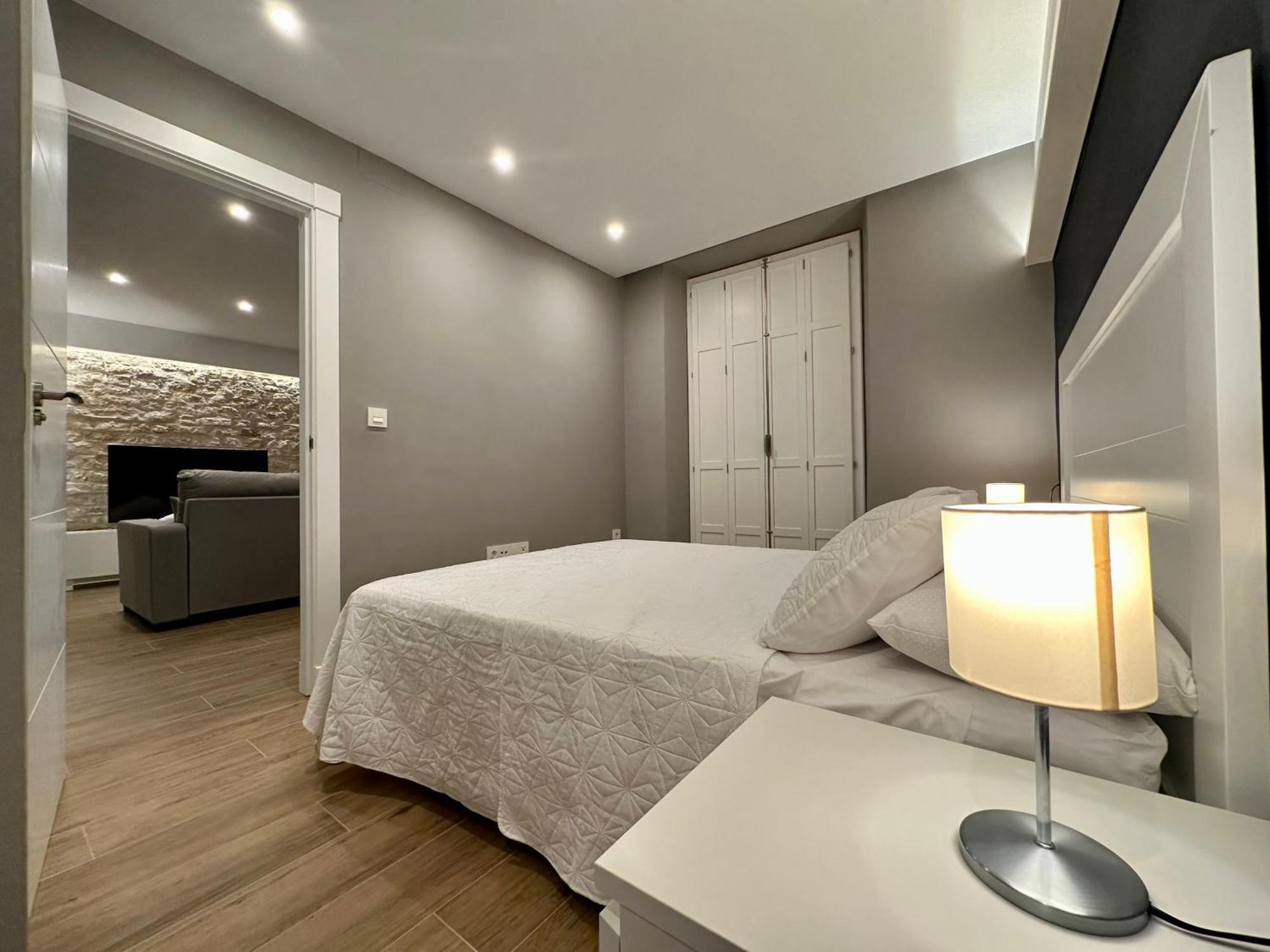 Apartamentos Anaya,1º,2º En Pleno Centro De グラナダ エクステリア 写真