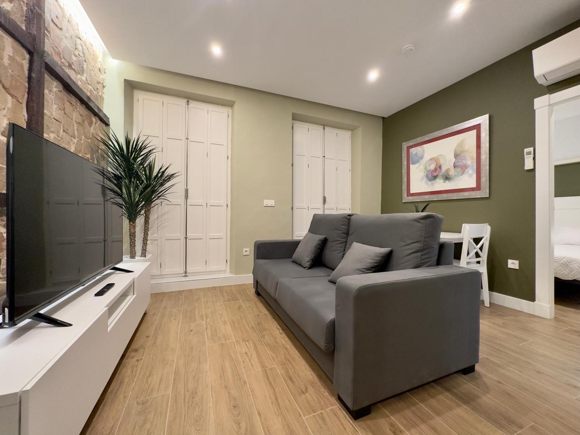Apartamentos Anaya,1º,2º En Pleno Centro De グラナダ エクステリア 写真